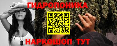 шишки Анжеро-Судженск