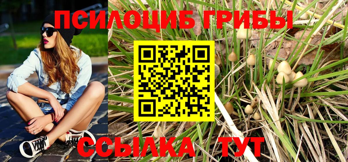 Галлюциногенные грибы GOLDEN TEACHER Бор